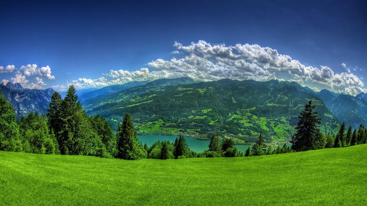 Should I Casino Review India Review 2027: Bonus, App, Withdrawal Tested
